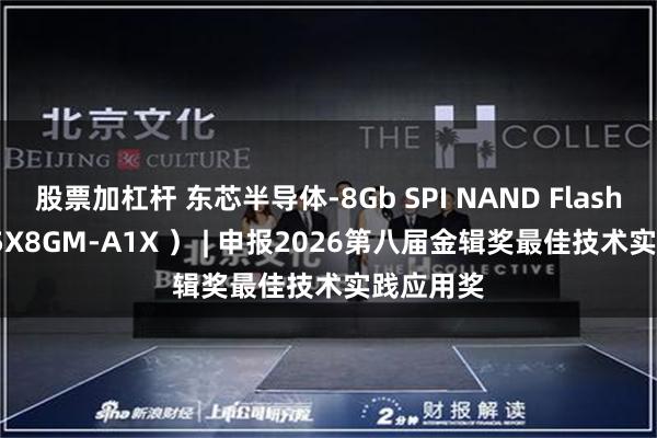 股票加杠杆 东芯半导体-8Gb SPI NAND Flash （ DS35X8GM-A1X ） | 申报2026第八届金辑奖最佳技术实践应用奖