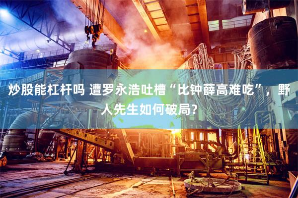 炒股能杠杆吗 遭罗永浩吐槽“比钟薛高难吃”，野人先生如何破局？
