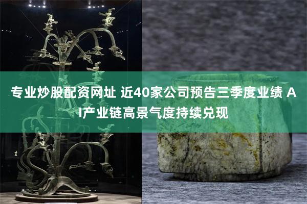 专业炒股配资网址 近40家公司预告三季度业绩 AI产业链高景气度持续兑现