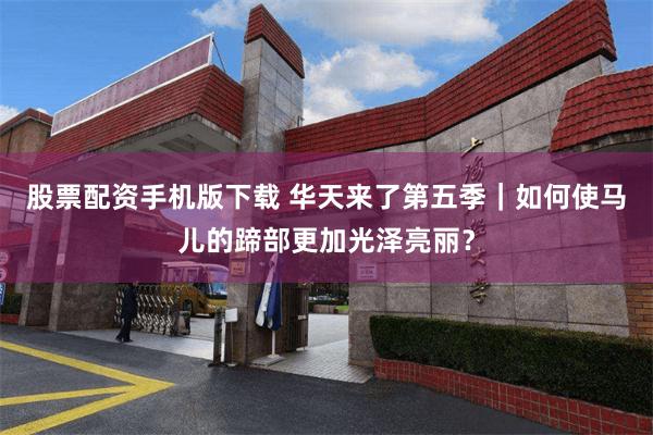 股票配资手机版下载 华天来了第五季|如何使马儿的蹄部更加光泽亮丽?