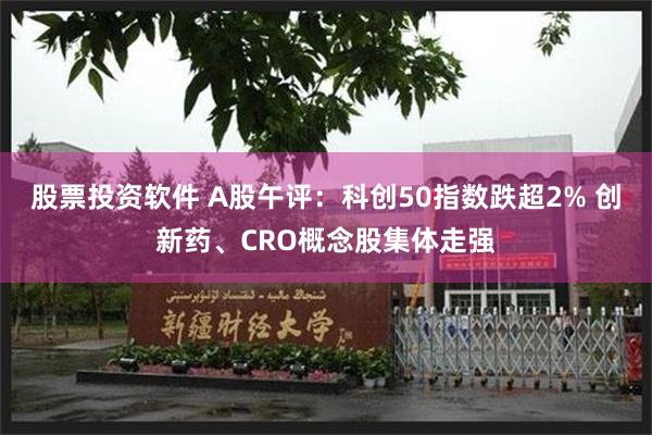 股票投资软件 A股午评：科创50指数跌超2% 创新药、CRO概念股集体走强