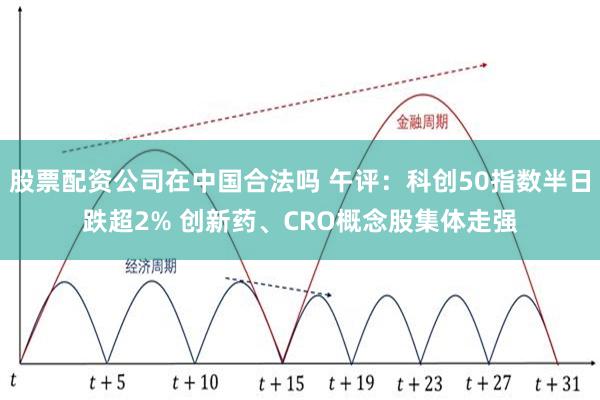 股票配资公司在中国合法吗 午评：科创50指数半日跌超2% 创新药、CRO概念股集体走强