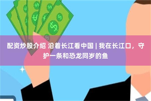 配资炒股介绍 沿着长江看中国 | 我在长江口，守护一条和恐龙同岁的鱼
