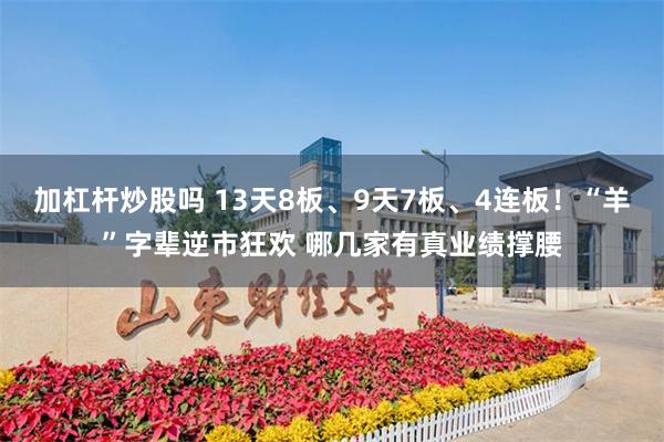 加杠杆炒股吗 13天8板、9天7板、4连板！“羊”字辈逆市狂欢 哪几家有真业绩撑腰